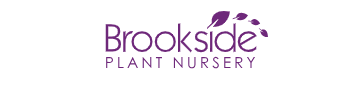 brookside nursery
